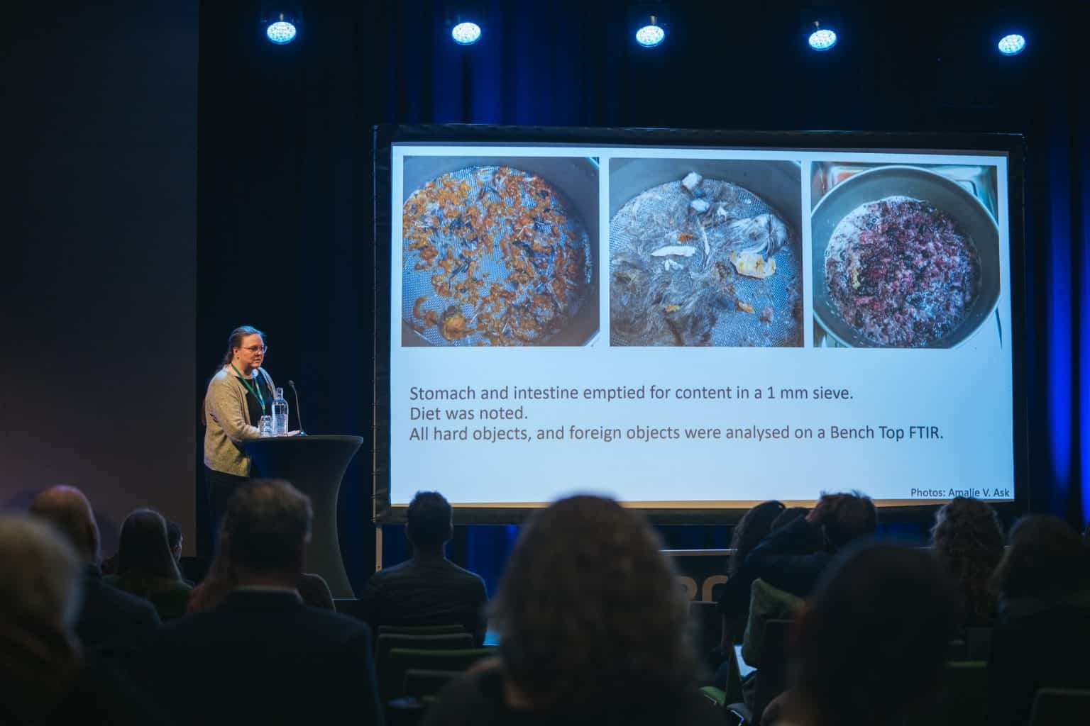 Arctic Frontiers - At the Arctic Frontiers - 2023 Conference, a speaker presents research findings with images of stomach contents on a large screen to an engaged audience.