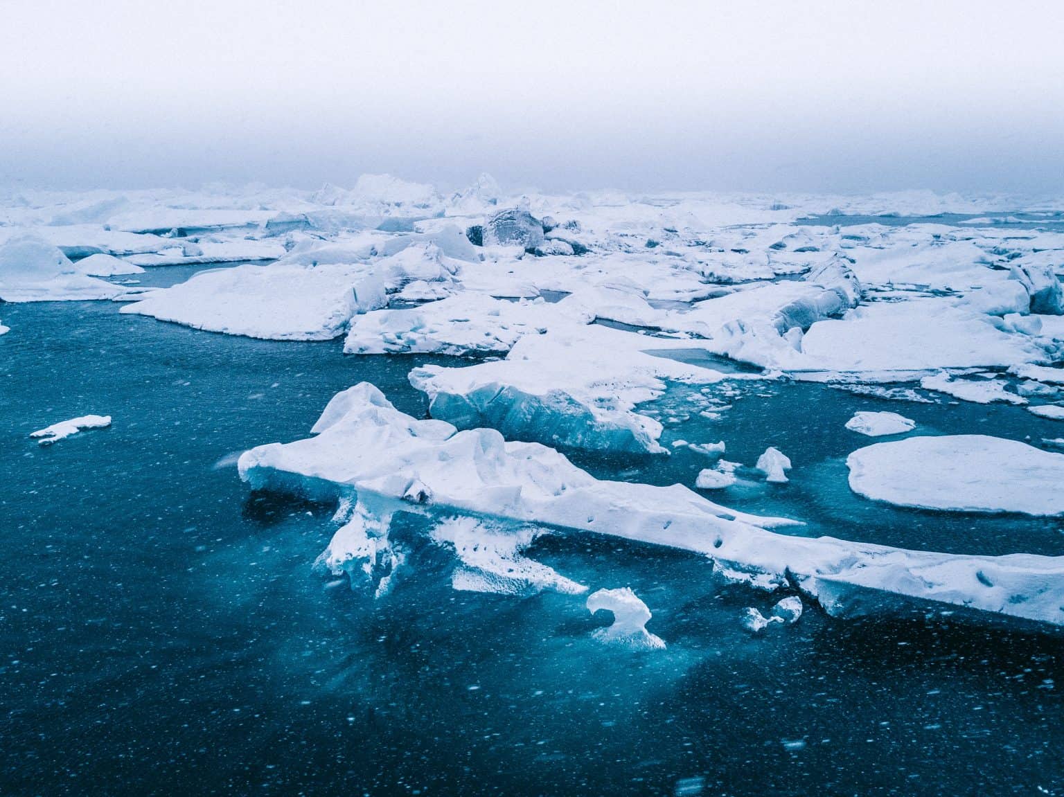 Arctic Frontiers - Large chunks of ice float in a cold, blue sea under a cloudy, pale sky, capturing the stark beauty of the Arctic Frontiers.