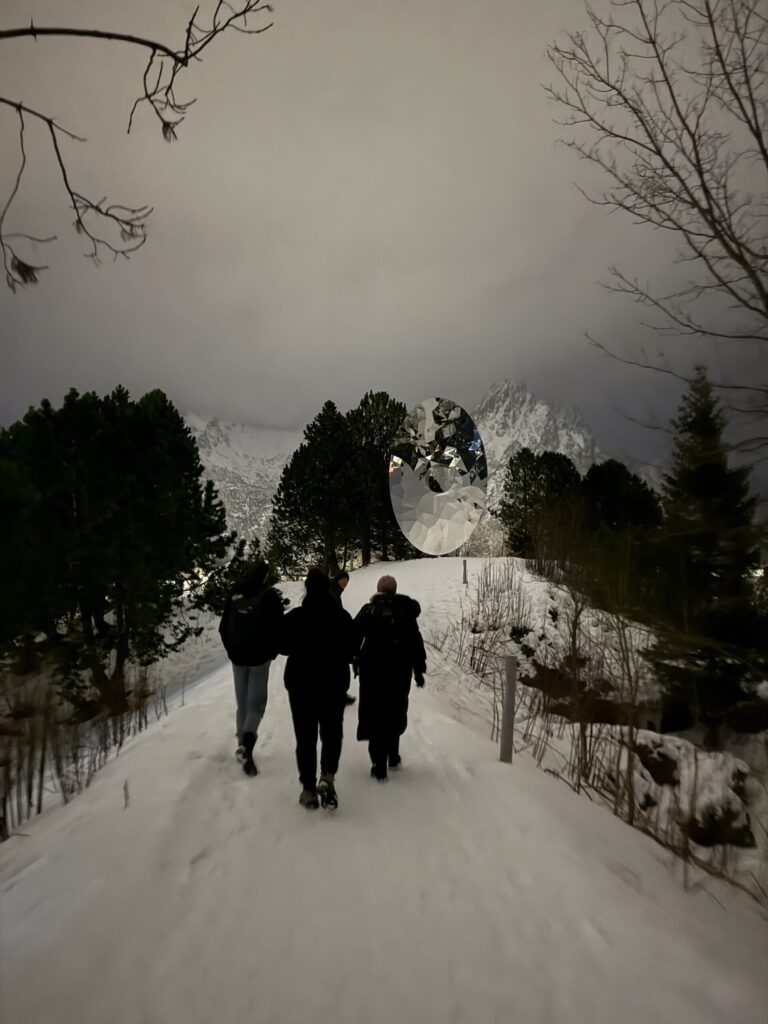 Arctic Frontiers - Three people walk on a snowy path lined with trees; mountains and cloudy sky appear in the background.